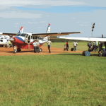 Government approves creation of Food and Agricultural Authority                  