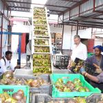 The Rise of Uganda’s Joseph Opio, From Primetime Success to Sports Emmy Nominee